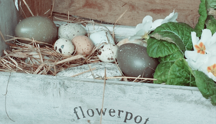 Ostern2016_5