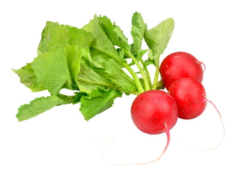 Bunch of fresh red salad radishes isolate on a white background