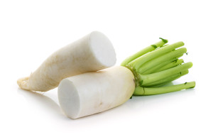 fresh radish isolated on a white background