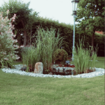 garten_biotop