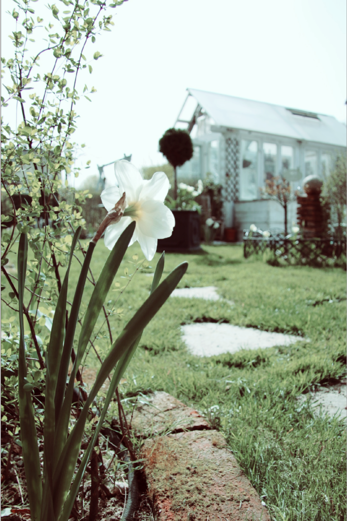 garten_frühling_1