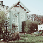 garten_frühling_3