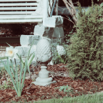 garten_frühling_4
