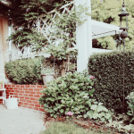 garten_überdachtesEck