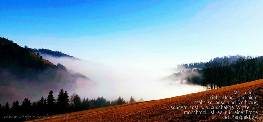 aufsteigender-nebel